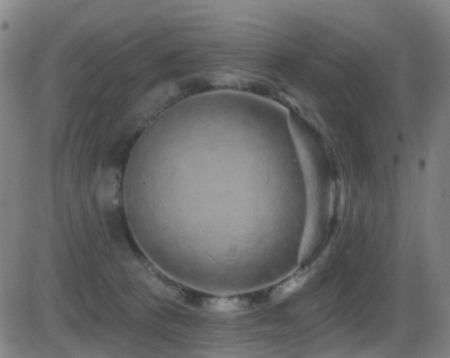 X0000081340273200701111432