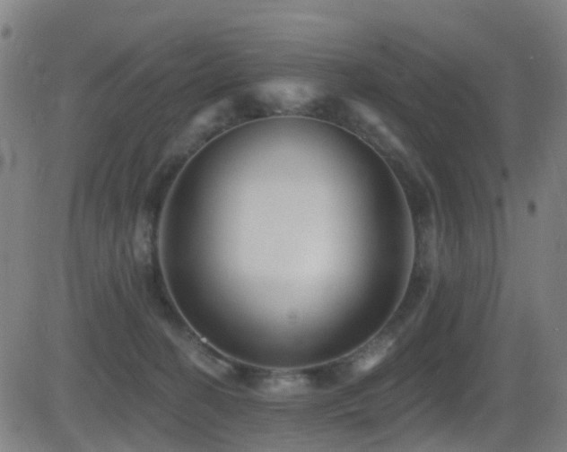X0000081340274200701111432