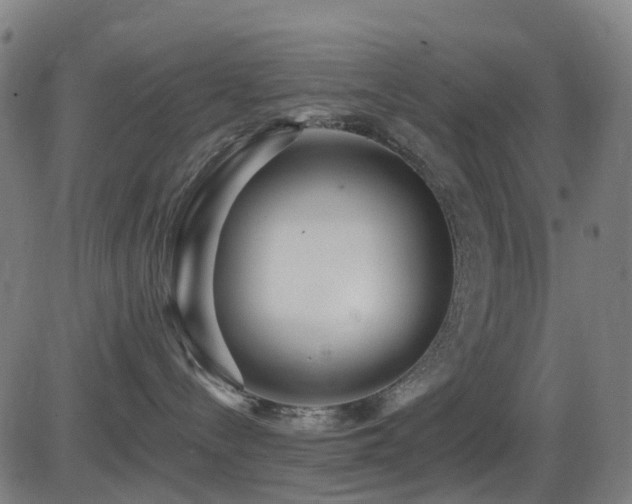 X0000081340288200701111432