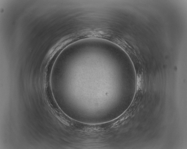 X0000081340291200701111431