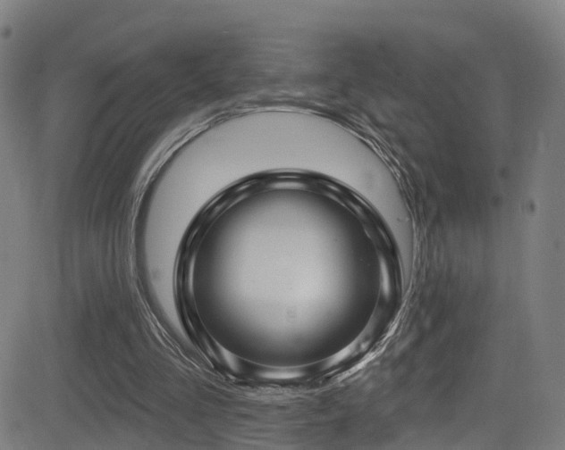 X0000081340293200701111431