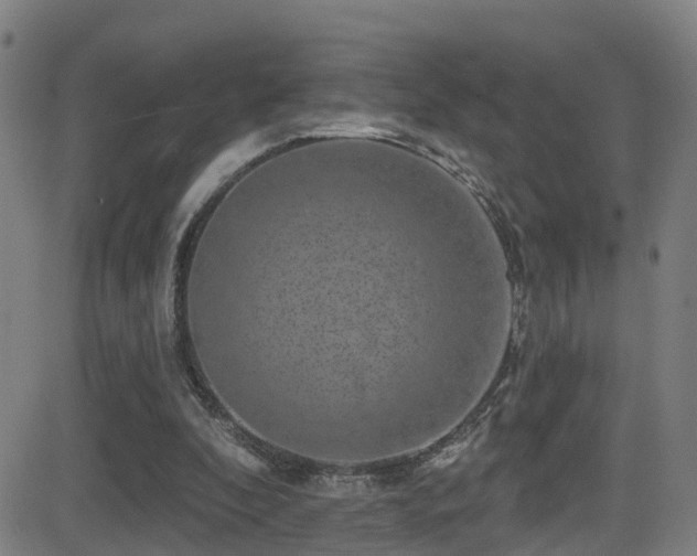 X0000081340296200701111431