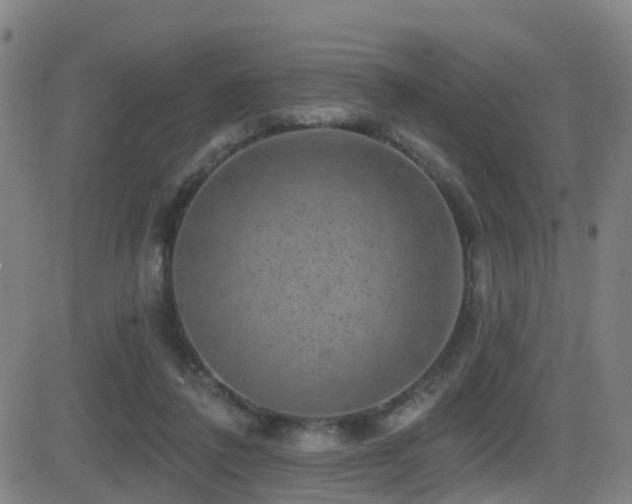 X0000081340308200701111431