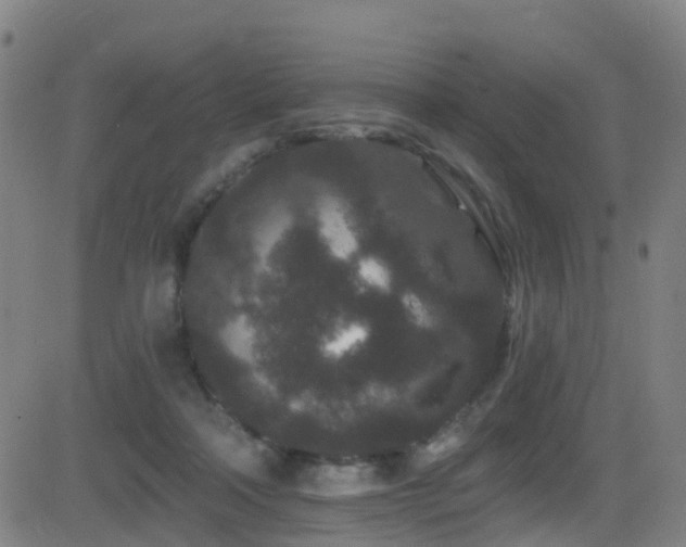 X0000081340314200701111431