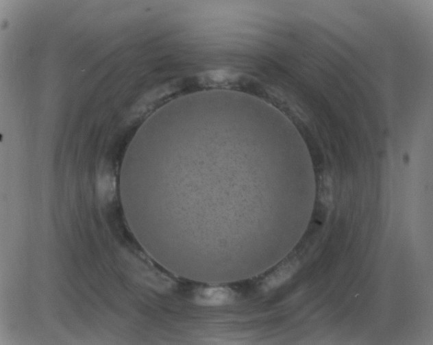 X0000081340324200701111431