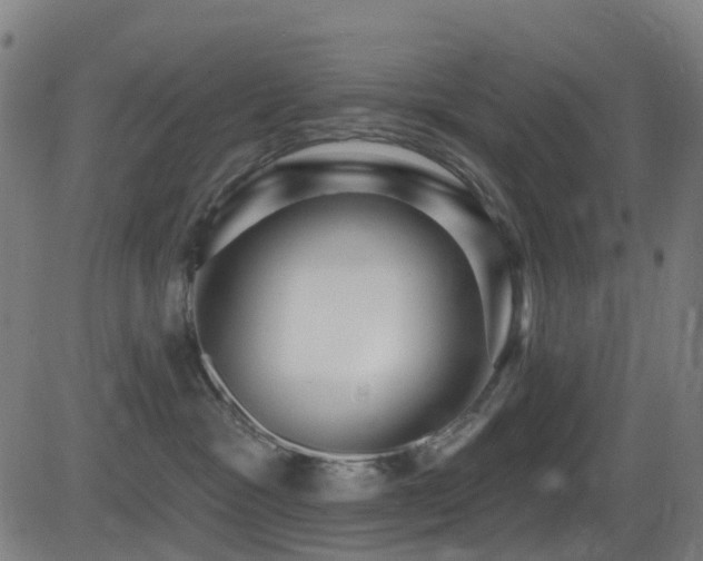 X0000081340333200701111430