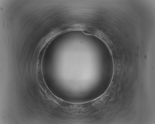 X0000081340338200701111430