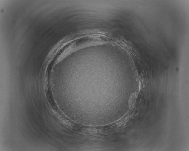 X0000081340339200701111430
