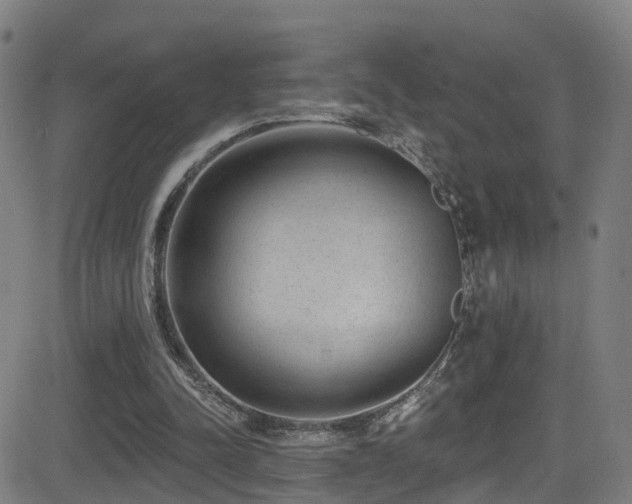 X0000081340342200701111430