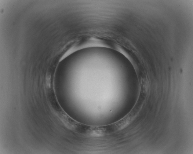 X0000081340368200701111430