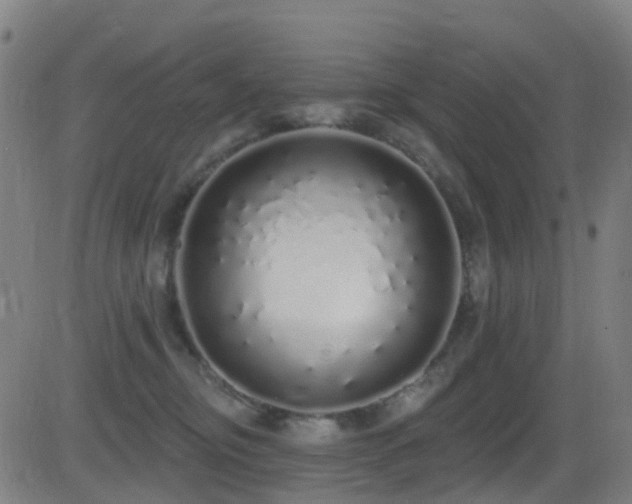 X0000081340374200701111430
