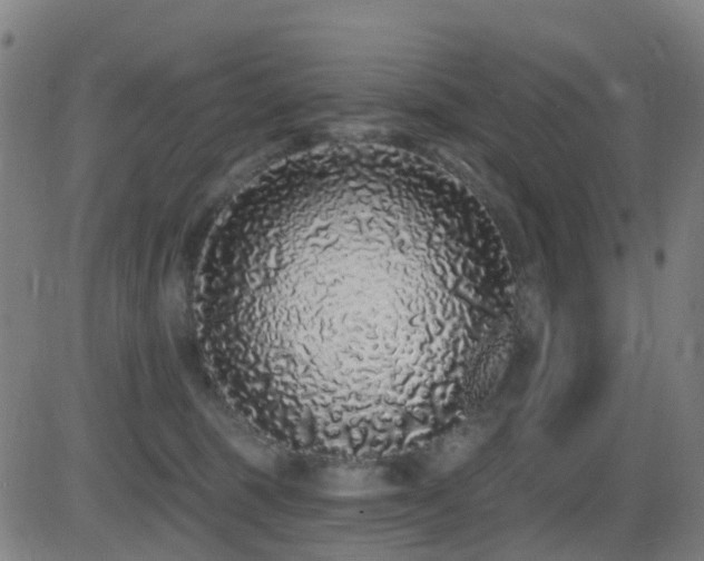 X0000081340375200701111430