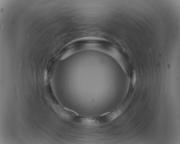 X0000081340380200701111430