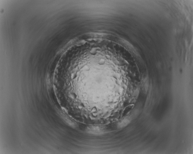 X0000081340381200701111430