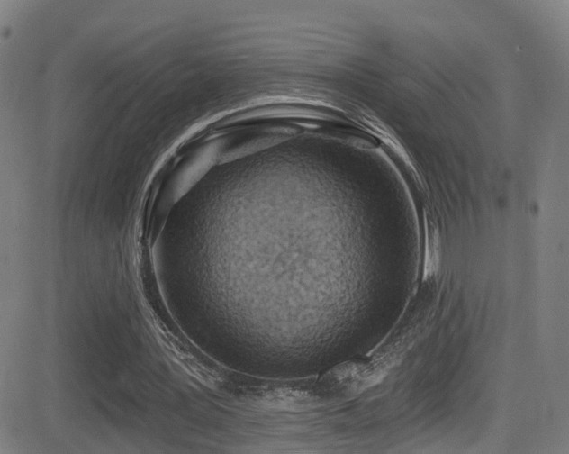 X0000081340387200701111429