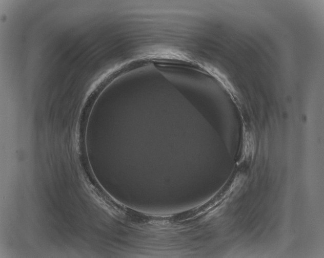 X0000081340391200701111429