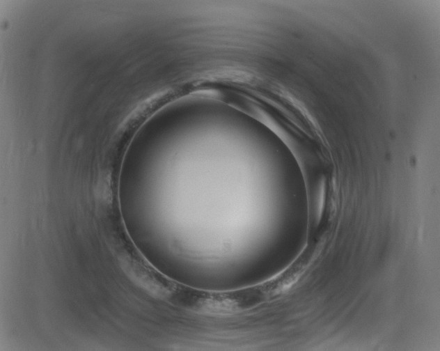 X0000081340403200701111429