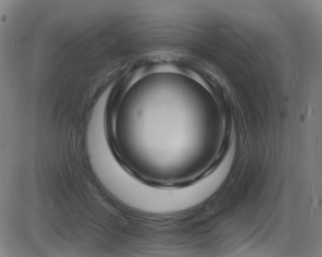 X0000081340411200701111429
