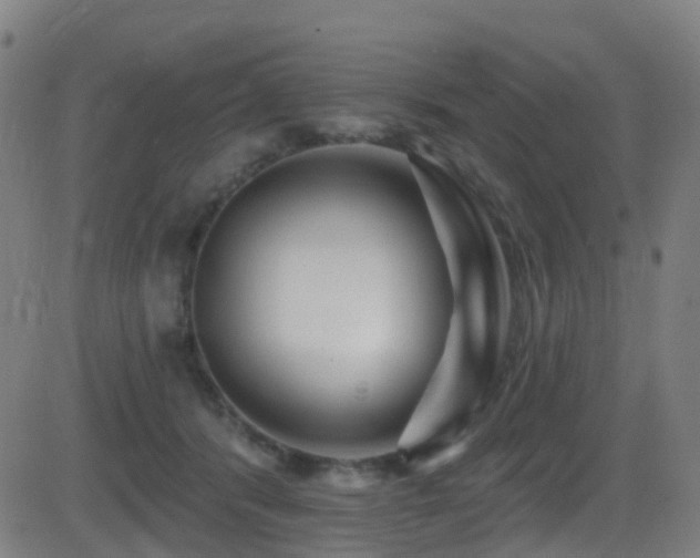 X0000081340416200701111429
