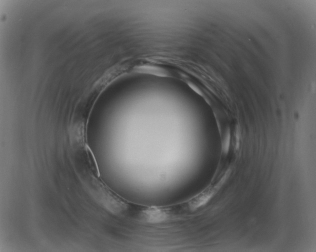 X0000081340425200701111429