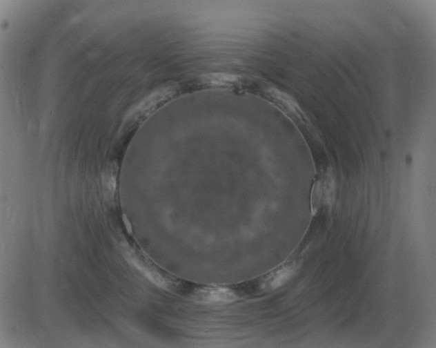 X0000081340427200701111429