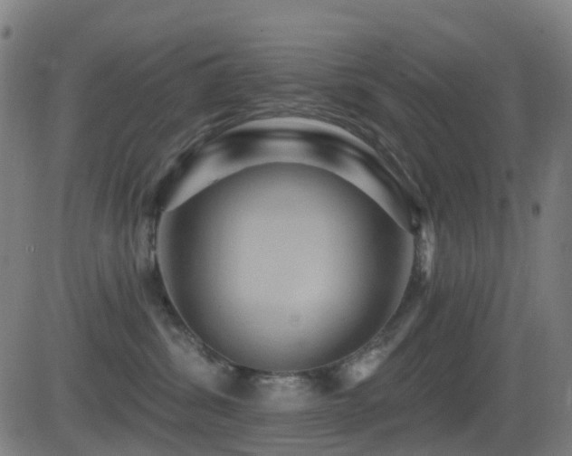 X0000081340428200701111429