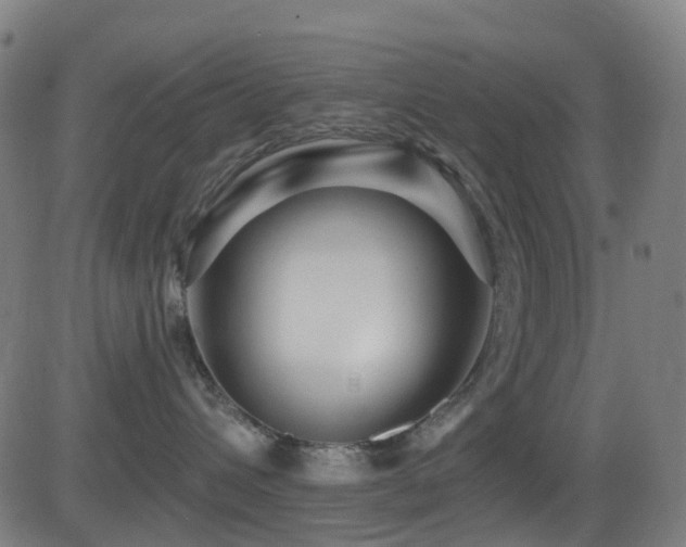 X0000081340432200701111429