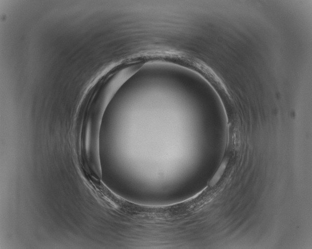 X0000081340436200701111428