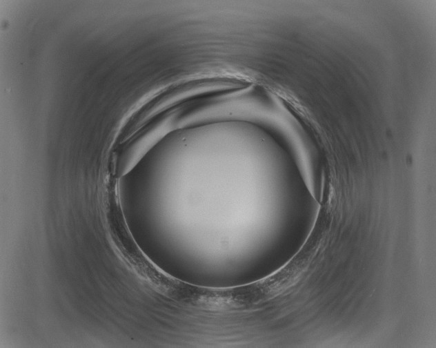 X0000081340440200701111428