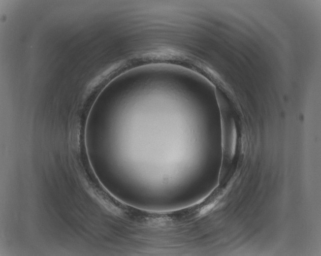 X0000081340446200701111428