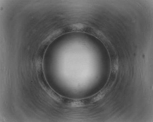 X0000081340468200701111429