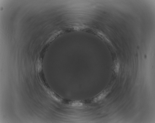 X0000081340471200701111429