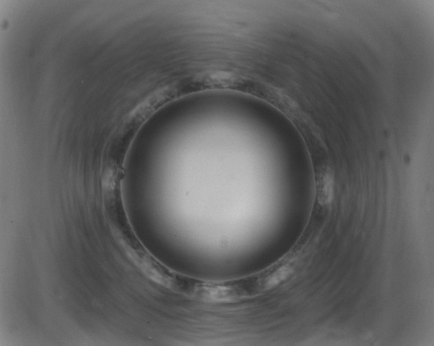 X0000081340472200701111429