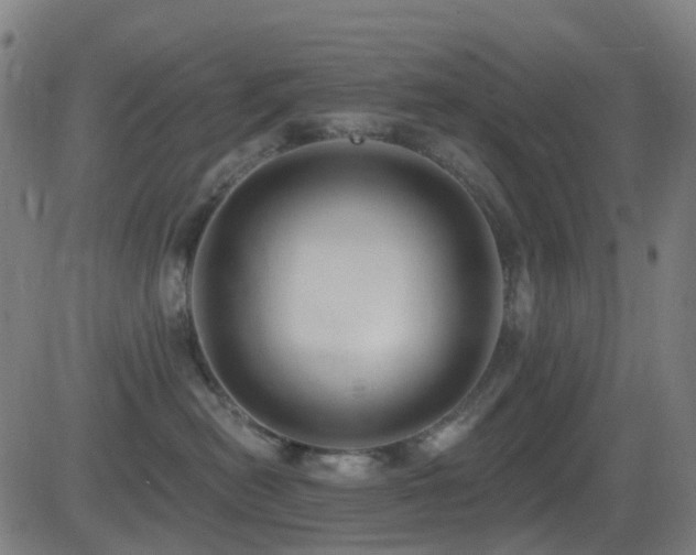 X0000081340478200701111429
