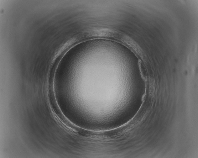 X0000081340482200701111428