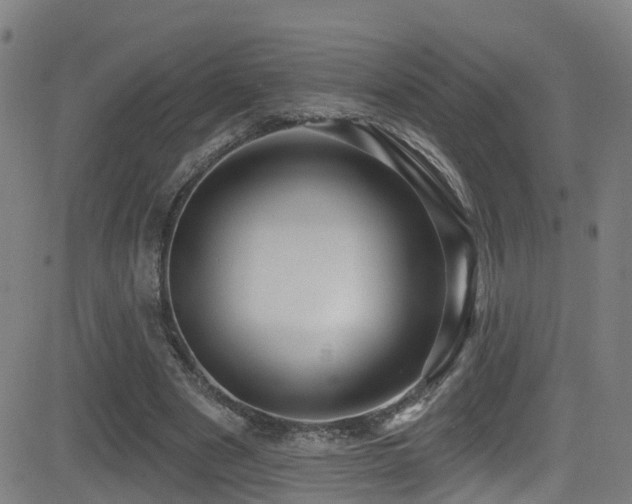 X0000081340489200701111428