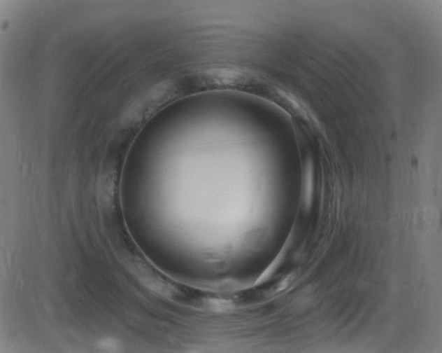 X0000081340509200701111427