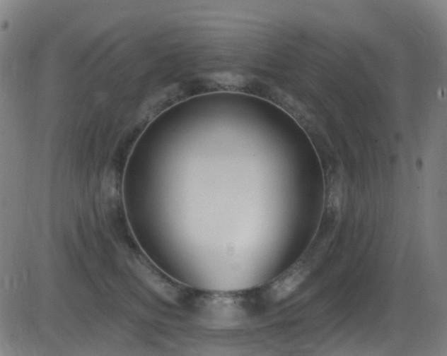 X0000081340518200701111427