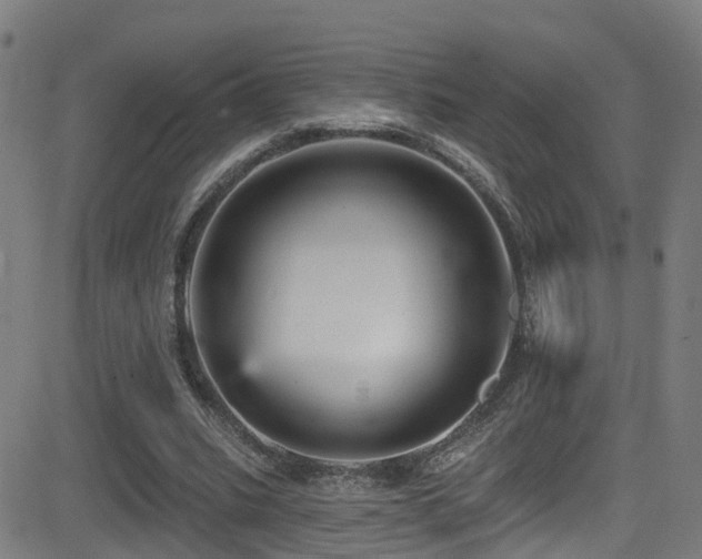 X0000081340535200701111426