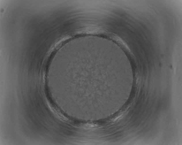 X0000081340542200701111427