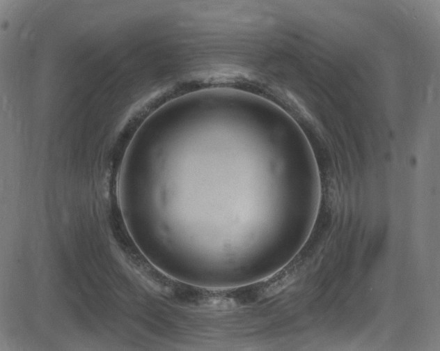 X0000081340543200701111427
