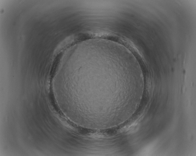 X0000081340545200701111427