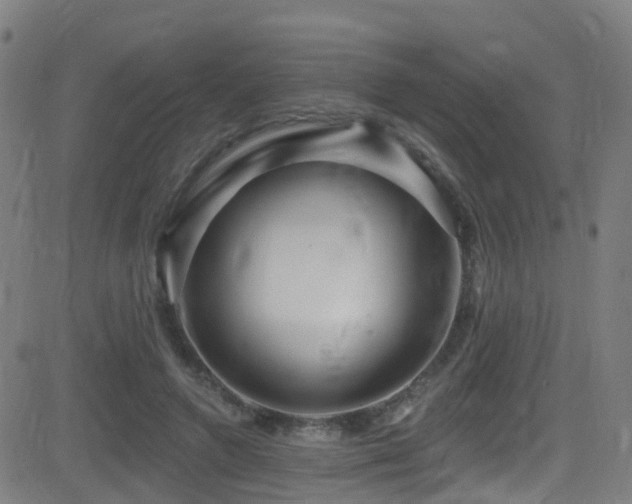 X0000081340546200701111427