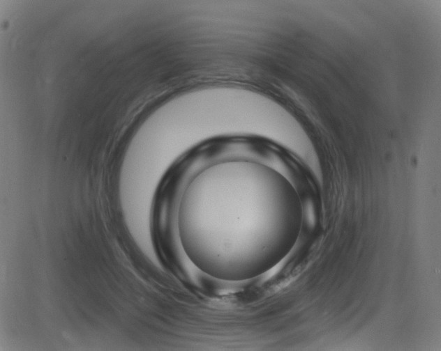 X0000081340548200701111427