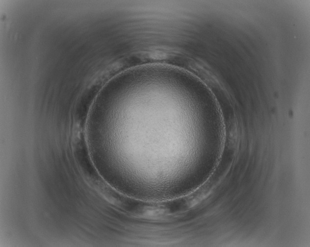 X0000081340555200701111427