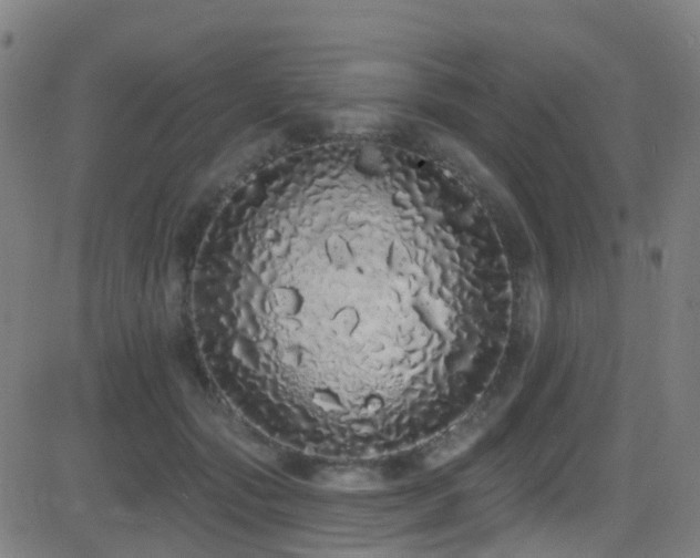 X0000081340557200701111427