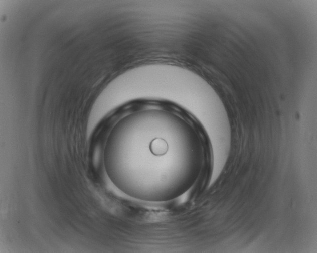 X0000081340560200701111427