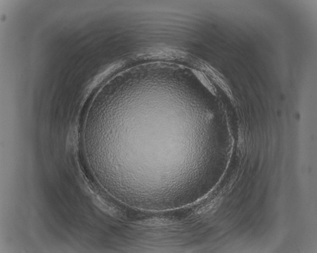 X0000081340578200701111426