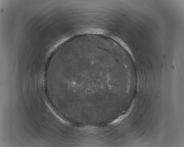 X0000081340581200701111426