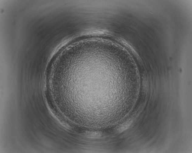 X0000081340582200701111426